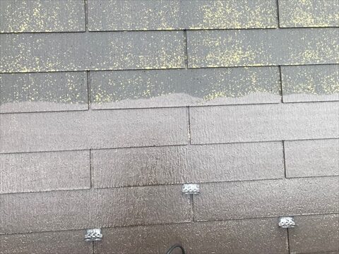 洗浄前と洗浄後でこんなに違います。屋根にここまで藻が付いているいう事は塗膜の効果も薄れている状態です。防水機能も低下しています。